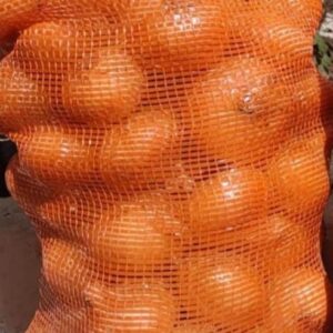 بصل اصفر Yellow onion